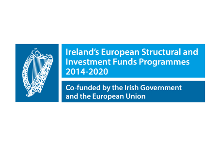 EU Ireland Logo